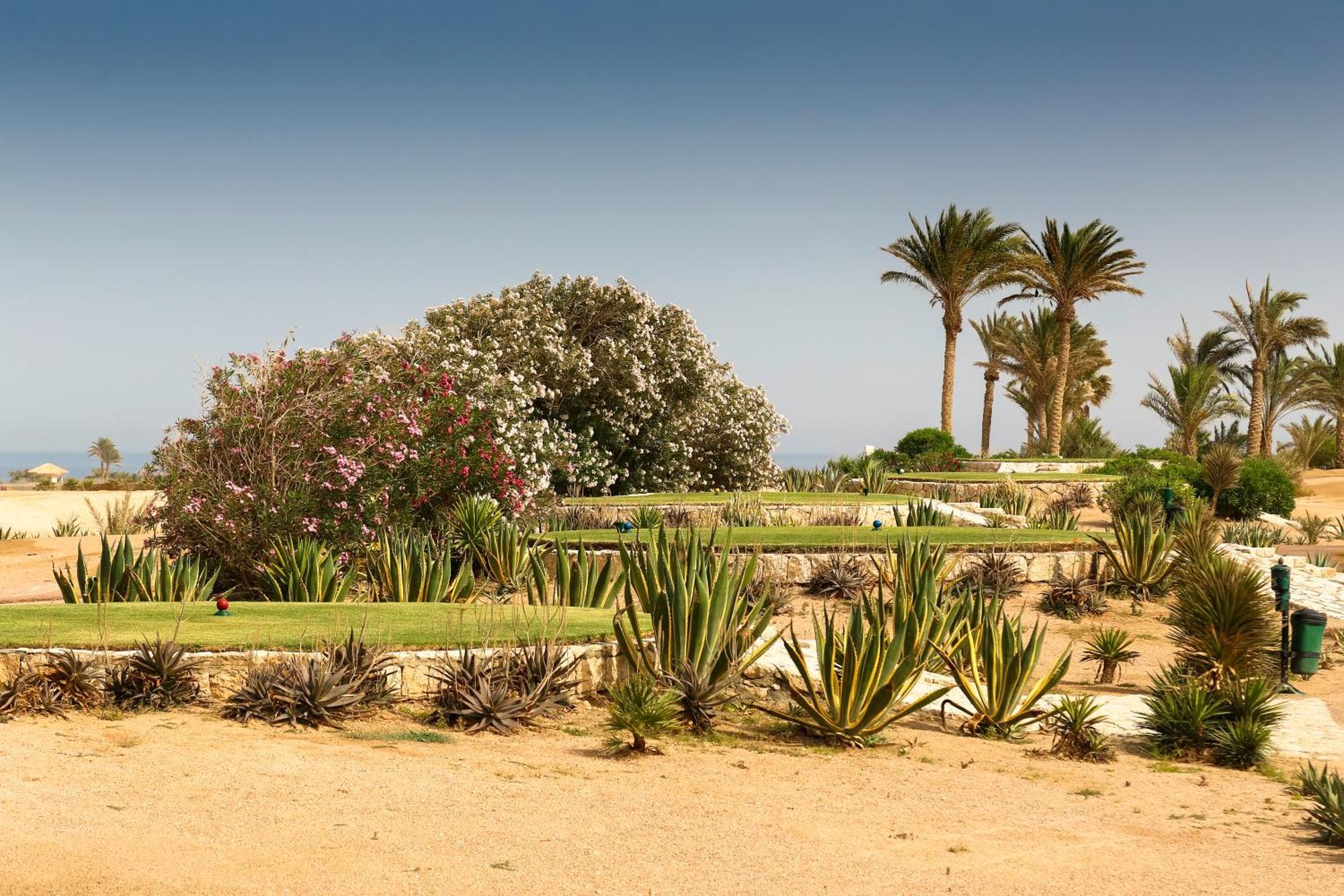 Robinson Soma Bay Hotel Hurghada Eksteriør billede